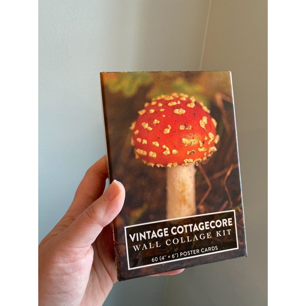 Urban Outfitters Vintage Cottagecore Wall Collage Kit By Adams Media NEW